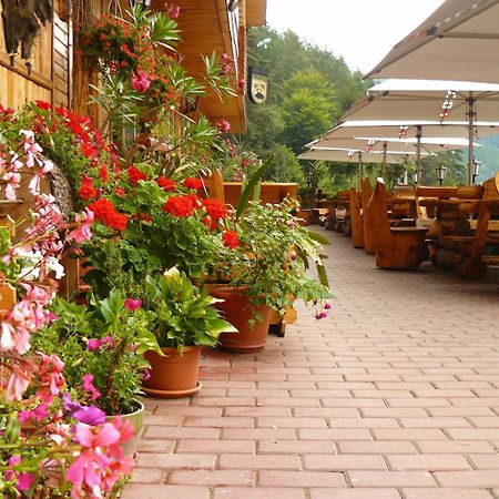 Pension Curmatura Stezii Решинари Экстерьер фото