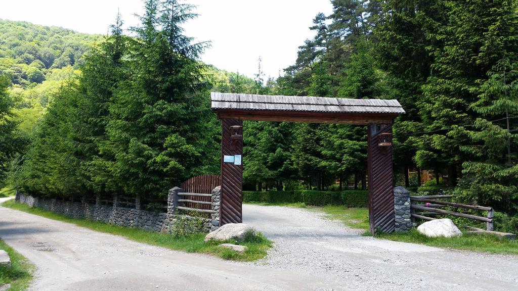 Pension Curmatura Stezii Решинари Экстерьер фото