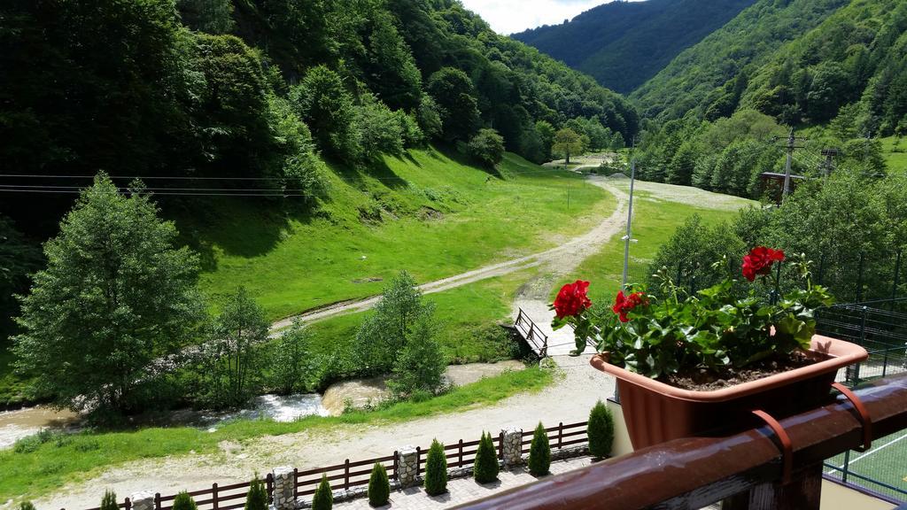 Pension Curmatura Stezii Решинари Экстерьер фото