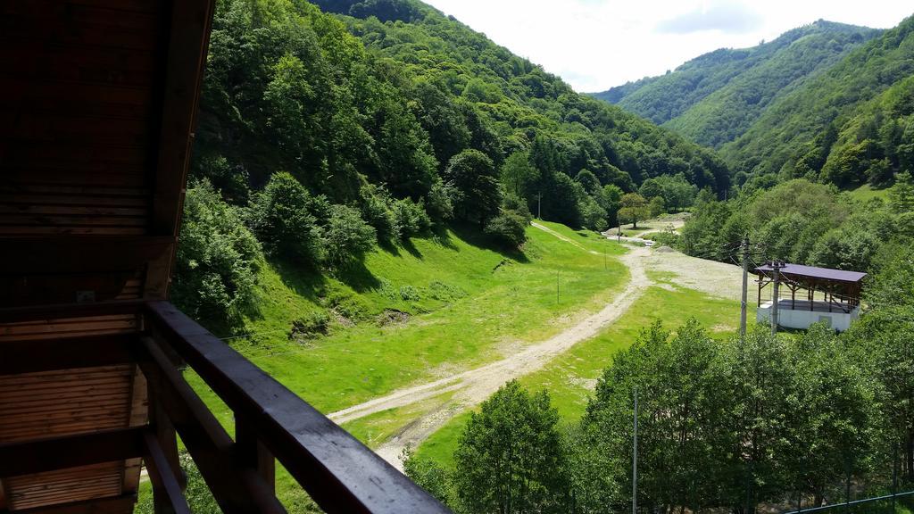 Pension Curmatura Stezii Решинари Экстерьер фото